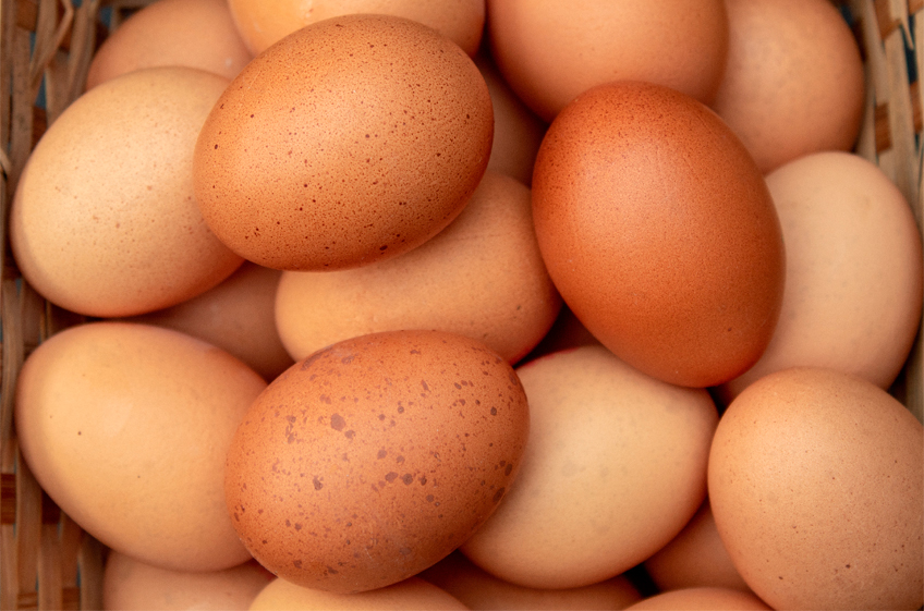 ФАС возбудила 10 дел против производителей яиц