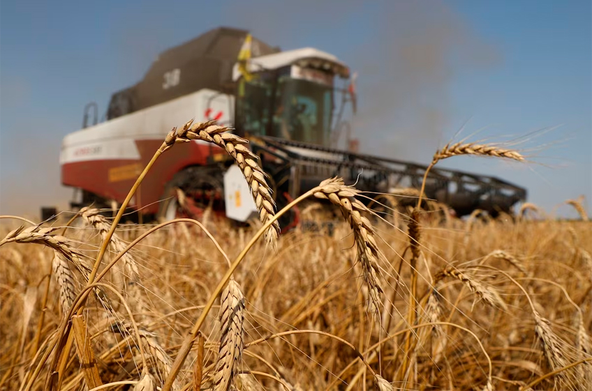 Россия может экспортировать рекордный объем пшеницы в феврале