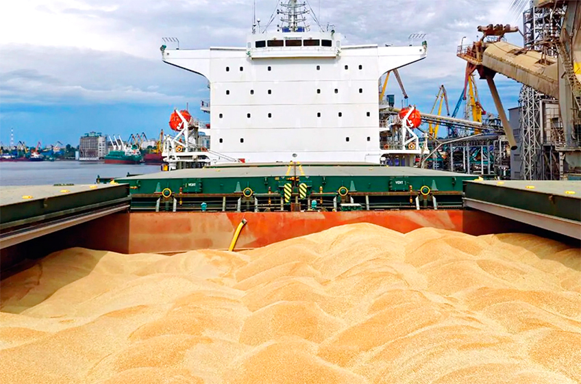 Россия с начала марта на 11% снизила отгрузки зерна на экспорт
