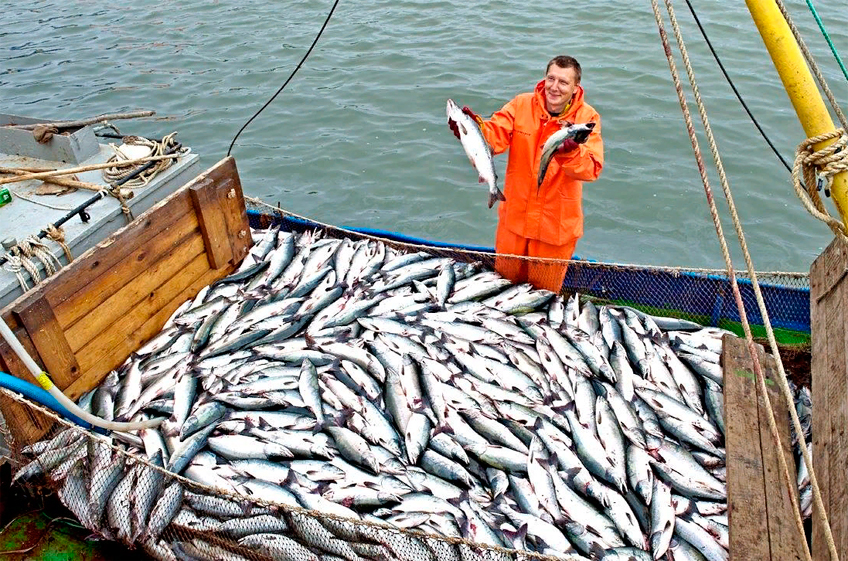 Минсельхоз РФ разработал план адаптации АПК и рыболовства к изменениям климата