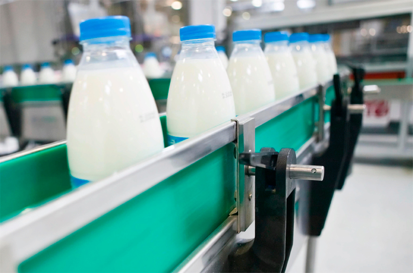 В России разработают меры поддержки молочной отрасли
