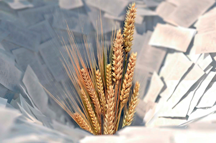 Бюджет РФ в 2021 году получил 91,9 млрд рублей от экспортных пошлин на зерно. Вопросы по их возврату аграриям остались