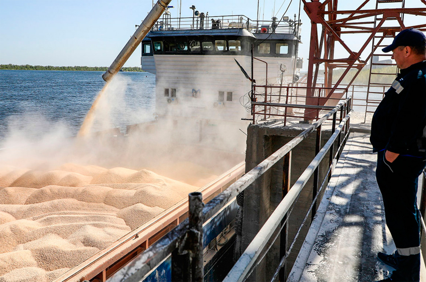 В марте Россия снизила отгрузки пшеницы на экспорт на 15,7%