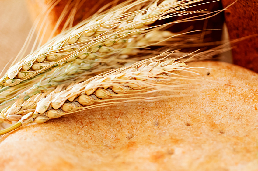 «СовЭкон»: запасы пшеницы на Юге России достигли рекорда