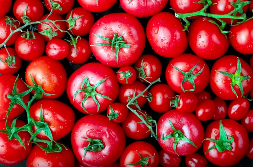 Правительство РФ утвердило решение о беспошлинном ввозе до 100 тыс. тонн томатов до конца мая