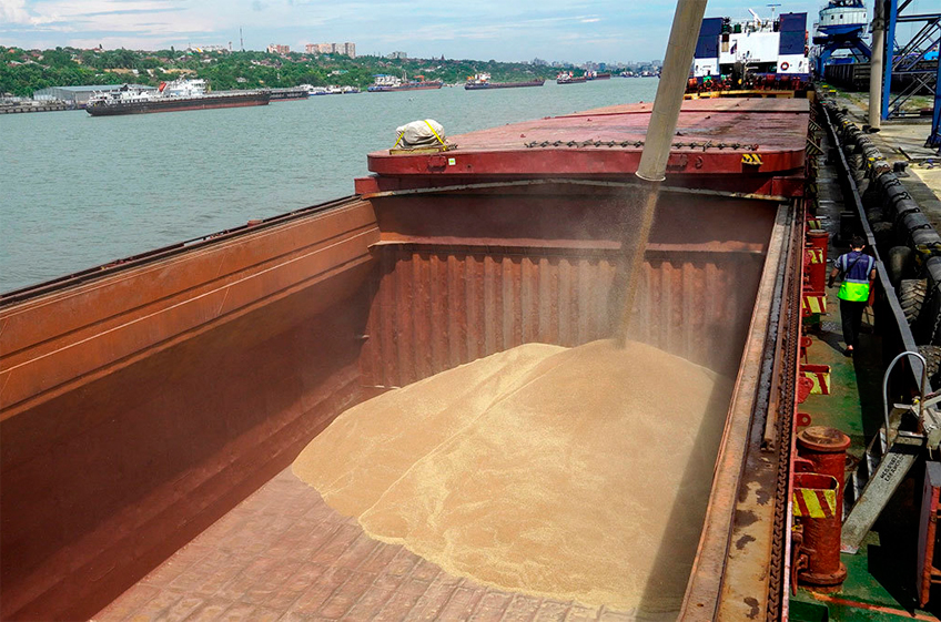 Минсельхоз РФ распределил основную часть квоты на экспорт зерна между 261 компанией