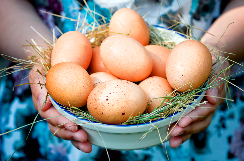 Поставки яиц из Белоруссии в Россию в 2024 году выросли в 3,1 раза