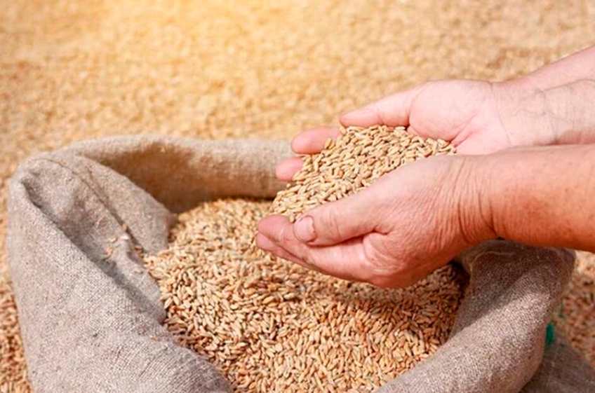 ЕС собирается в ближайшие дни ввести пошлины на импорт зерна из России и Белоруссии