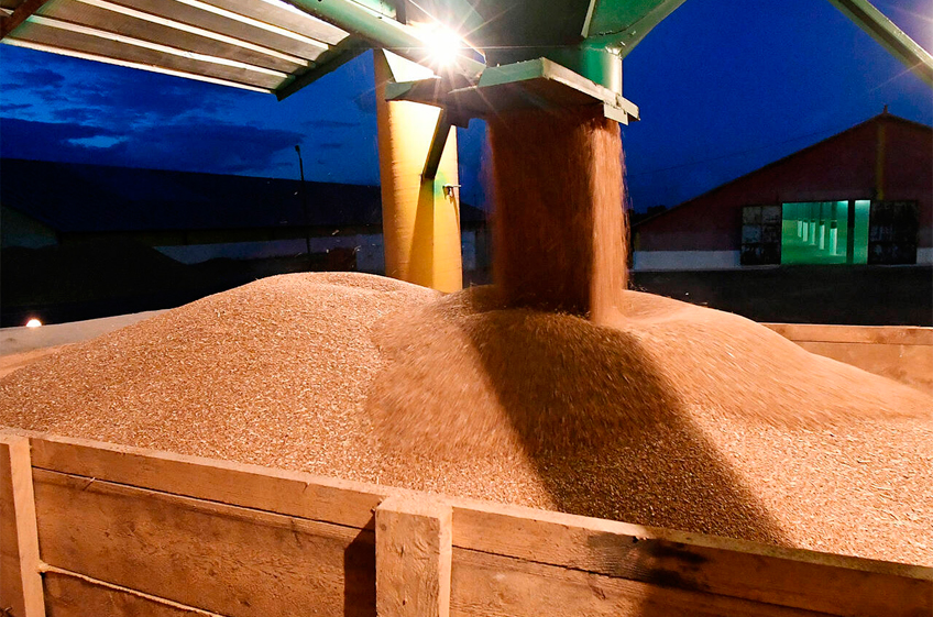 Закупки зерна в российский госфонд возобновятся 27 марта