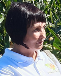 Лариса Белогорцева, главный агроном НПО "Семеноводство Кубани"